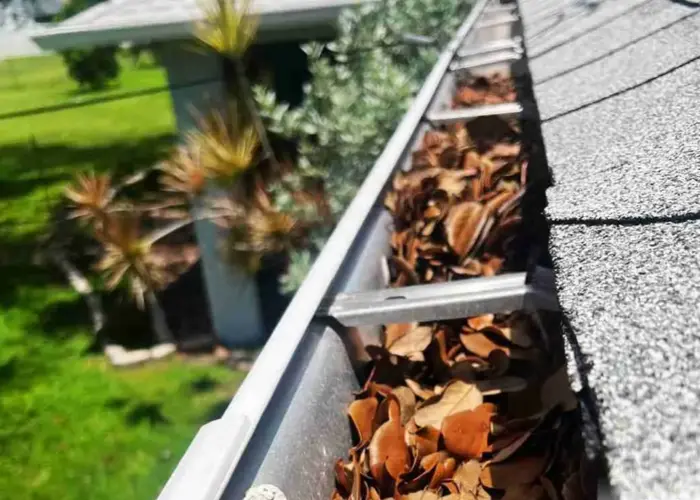 Love Field gutter cleaning home page